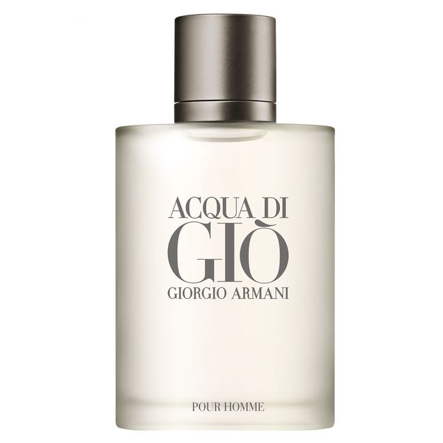 Perfume Acqua Di Giò Armani Eau de Toilette 100ml